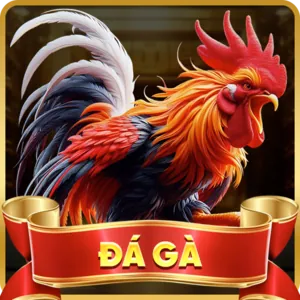 Hỗ trợ qua email