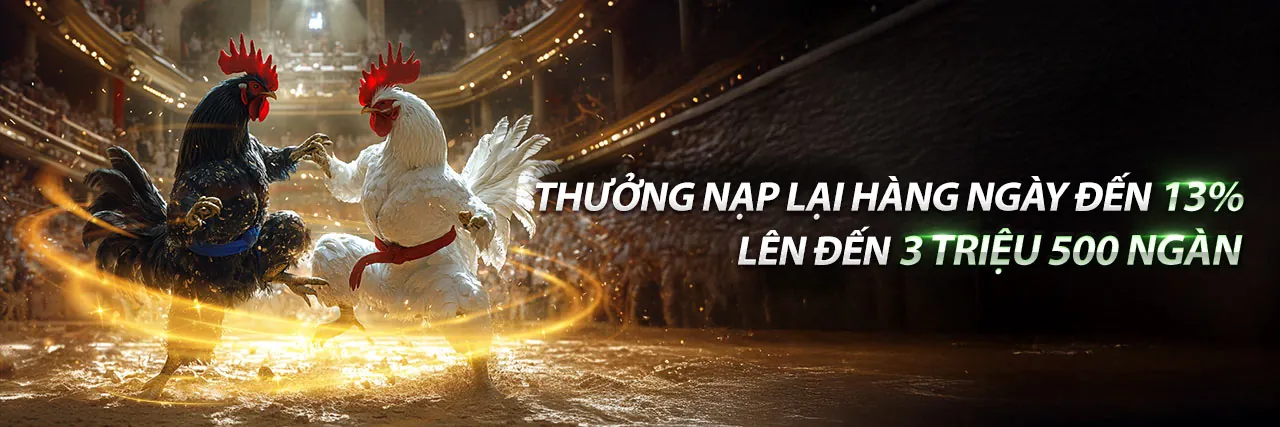 Đá gà trực tuyến kịch tính tại banca28 website chính thức